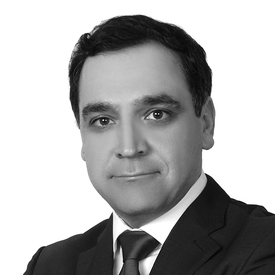  Mohammad Amirafshari
